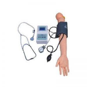 Advanced Blood Pressure Simulator(nursing model)